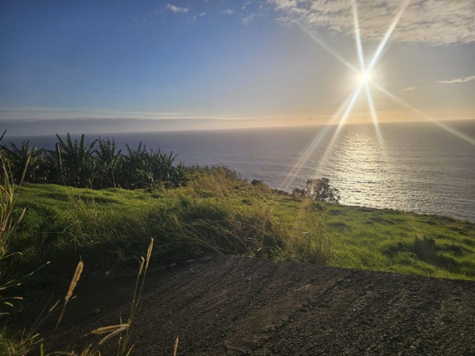 Helårsgrund i Calheta, Madeira - foto 1