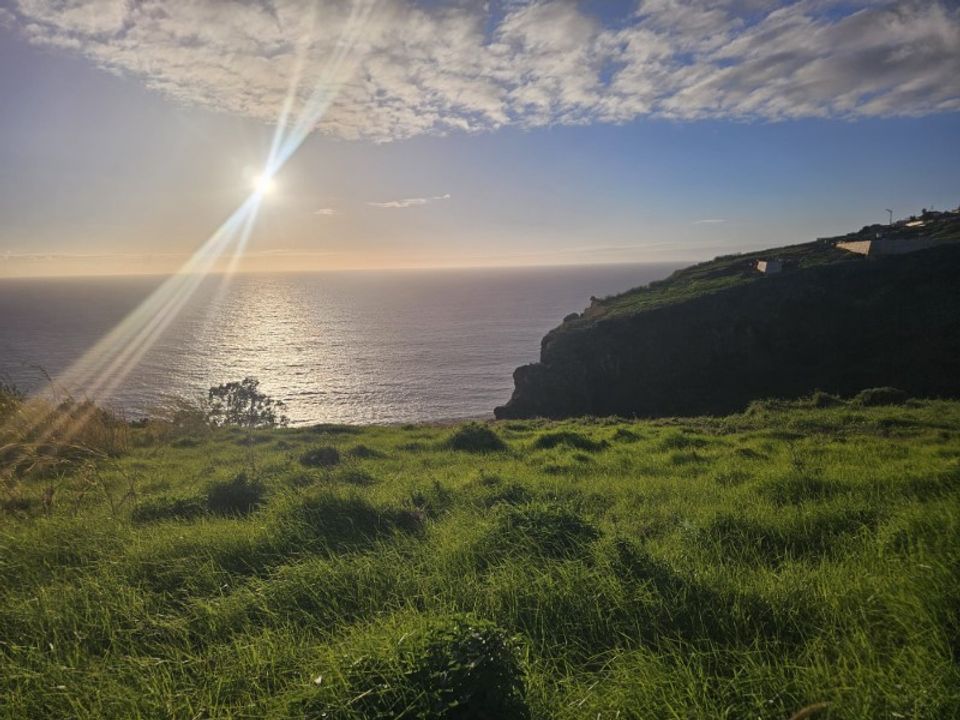 Helårsgrund i Calheta, Madeira - foto 4