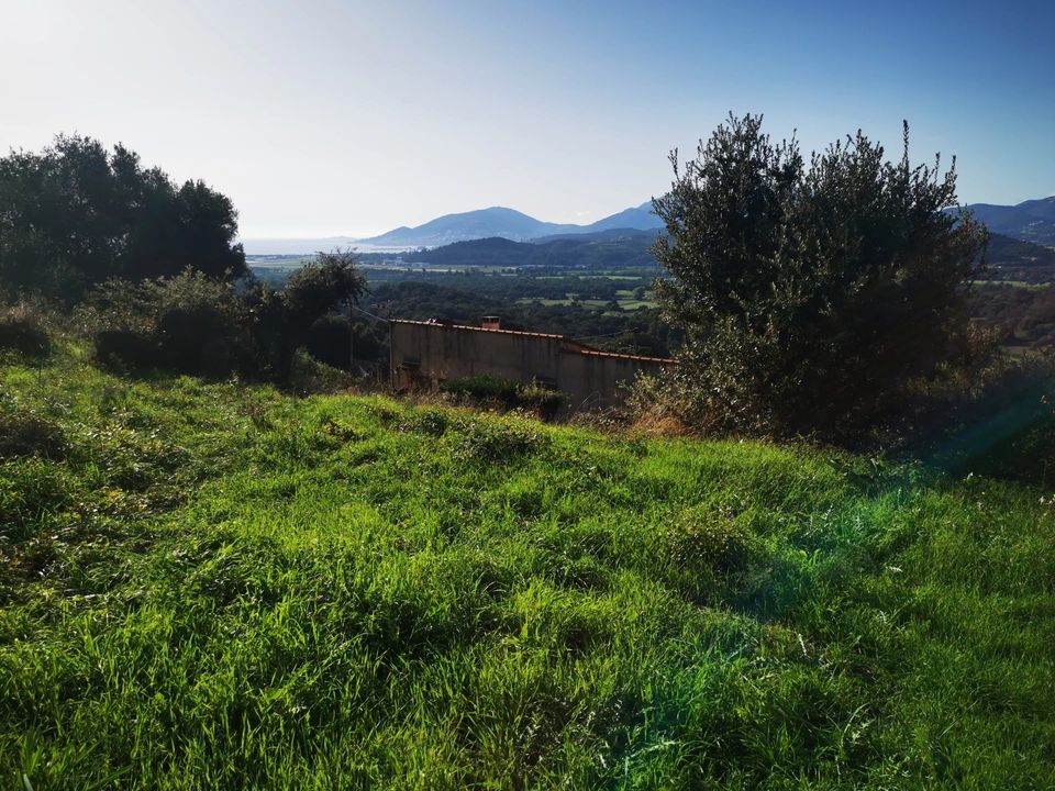 Helårsgrund i Bastelicaccia, Corse-du-Sud - foto 1