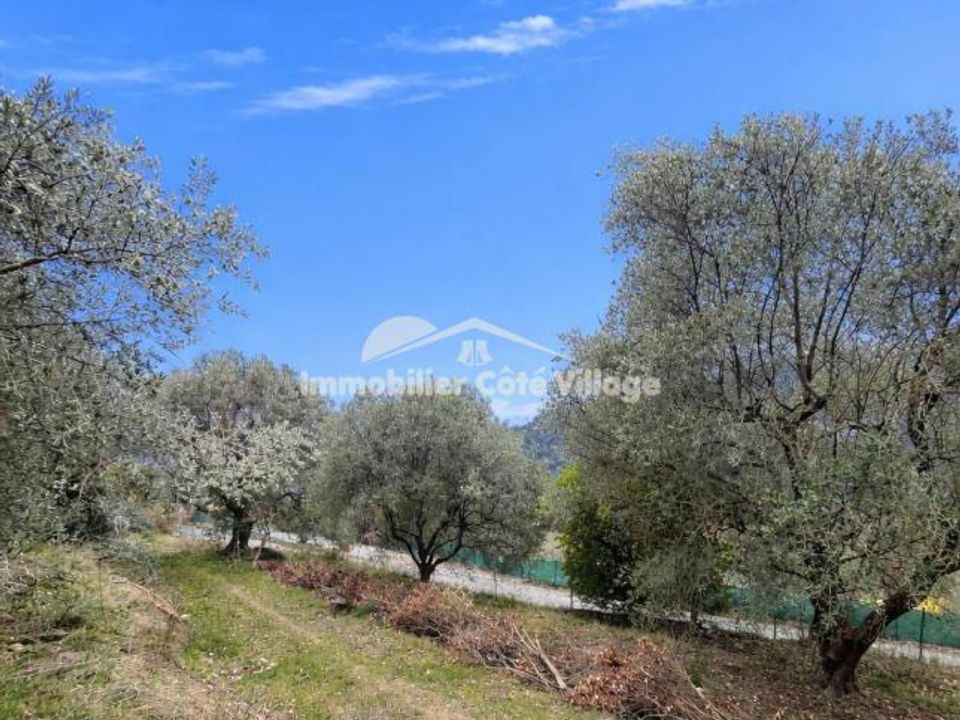 Tomt i Drap, Alpes-Maritimes - bilde 1