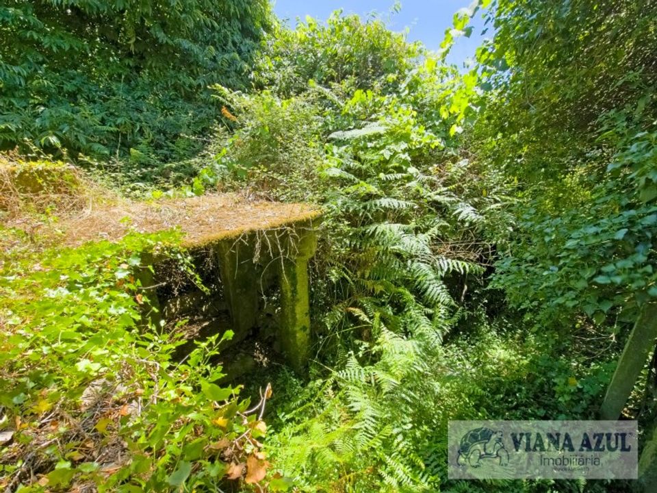 Farm i Ponte de Lima, Viana do Castelo - foto 4