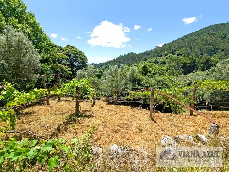 Farm i Ponte de Lima, Viana do Castelo - foto 5