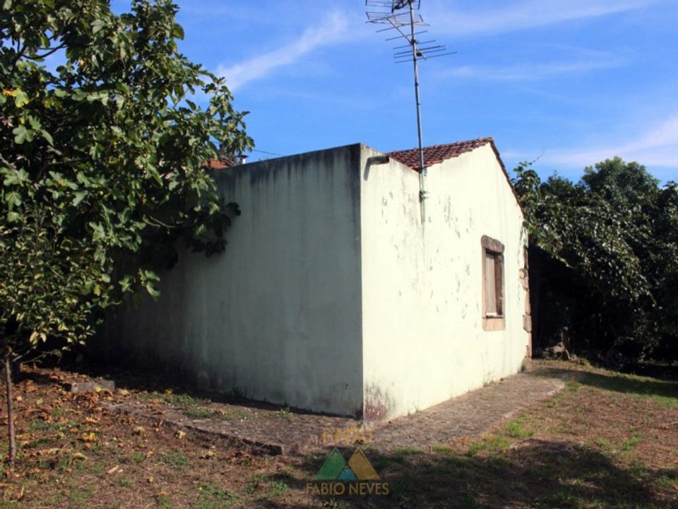 Farm i Oliveira de Azemeis, Aveiro - foto 2