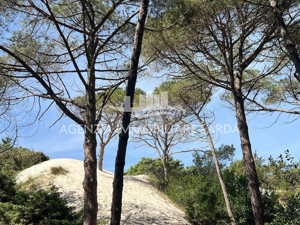 Apartament a Alghero, Sassari - foto 1