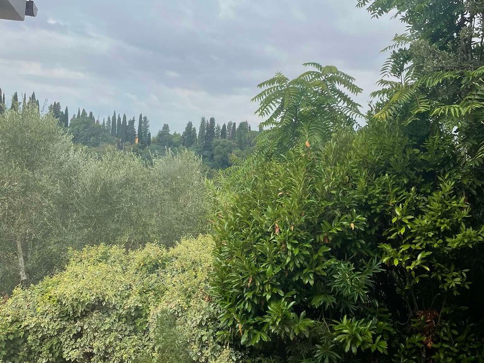 Villa i Montopoli in Val d'Arno, Pisa - foto 5
