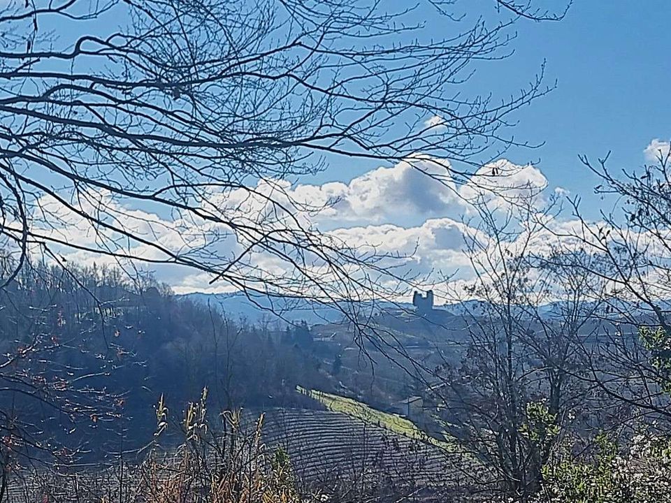 Villa i Nizza Monferrato, Asti - foto 2
