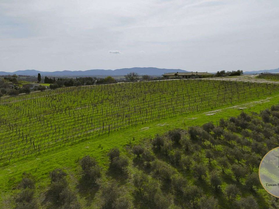 Villa i Preselle, Grosseto - foto 1