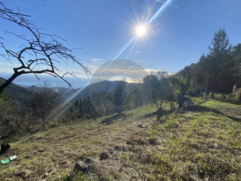 Helårsgrund i Gorbio, Alpes-Maritimes - foto 1
