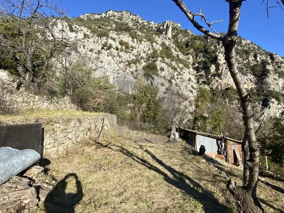 Helårsgrund i Gorbio, Alpes-Maritimes - foto 2