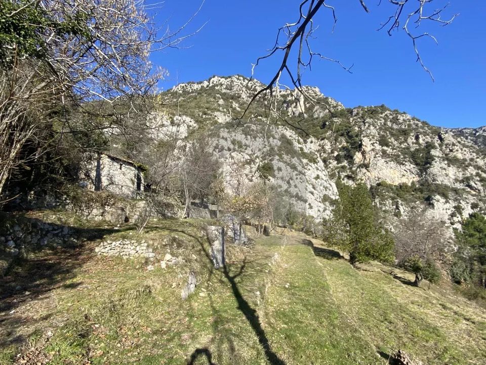 Helårsgrund i Gorbio, Alpes-Maritimes - foto 3