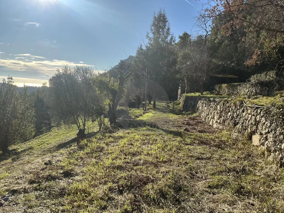 Helårsgrund i Gorbio, Alpes-Maritimes - foto 4