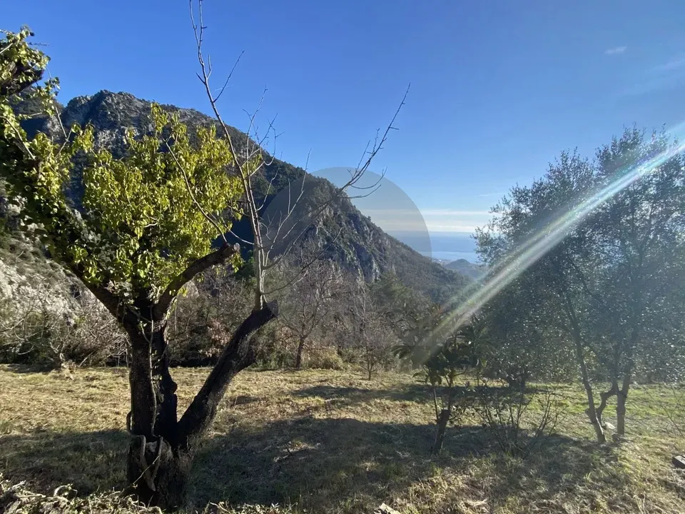 Helårsgrund i Gorbio, Alpes-Maritimes - foto 5