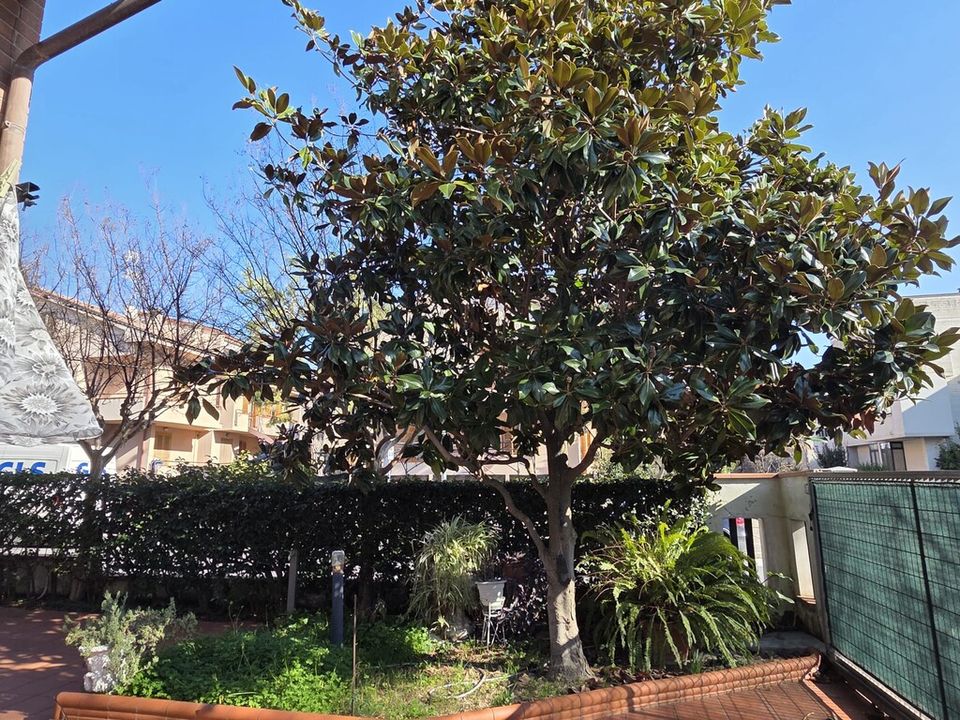 Rækkehus i Civitanova Marche, Macerata - foto 5