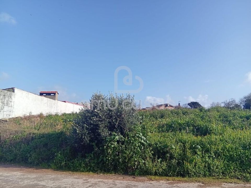 Helårsgrund i Estarreja, Aveiro - foto 1