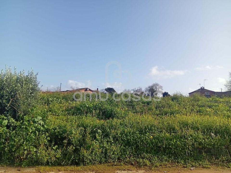 Helårsgrund i Estarreja, Aveiro - foto 3