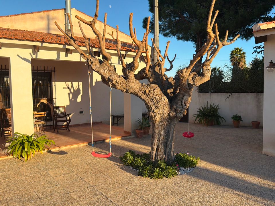 Byhus i Dolores, Alicante - foto 4