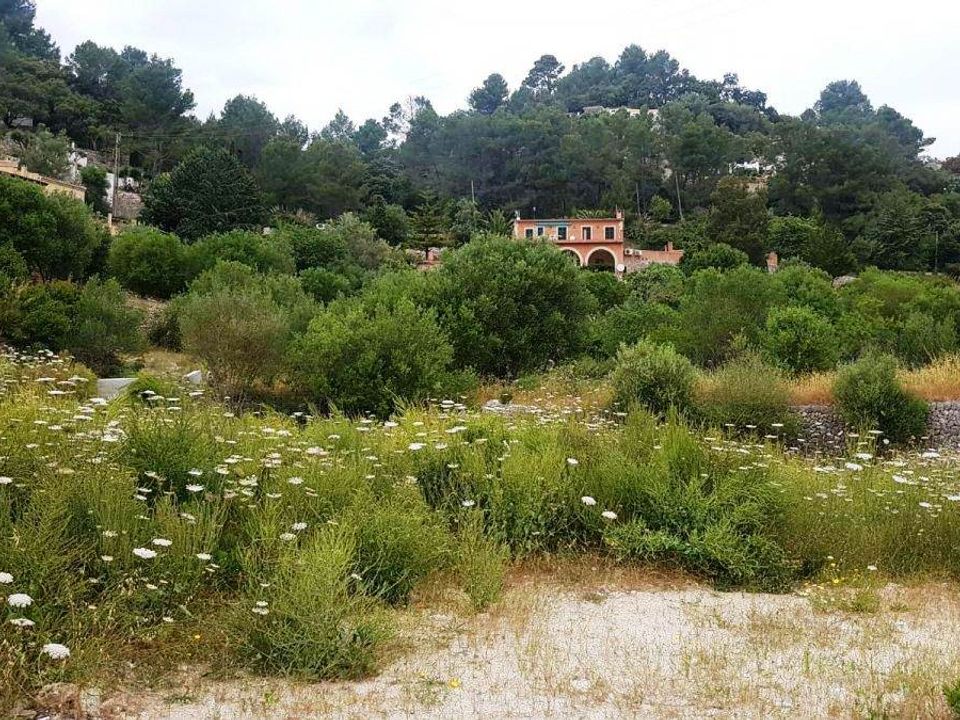 Helårsgrund i Puigpunyent, Mallorca - foto 1