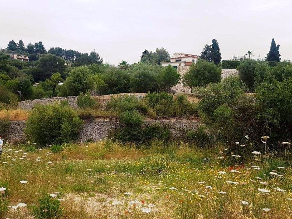 Helårsgrund i Puigpunyent, Mallorca - foto 2