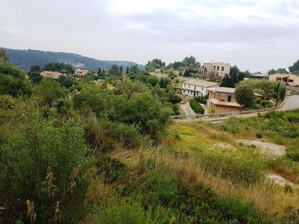Helårsgrund i Puigpunyent, Mallorca - foto 3
