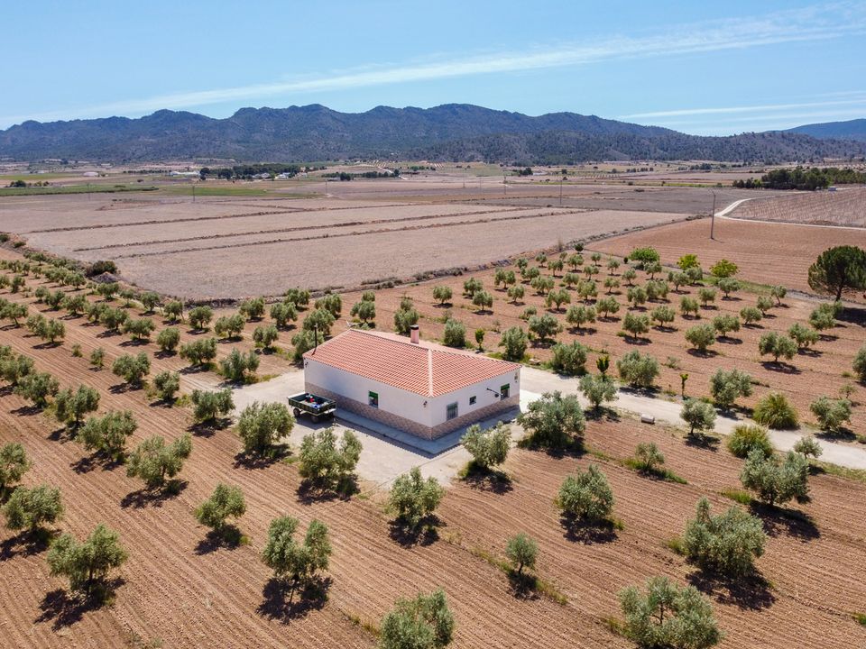 Landejendom i Yecla, Murcia - foto 2