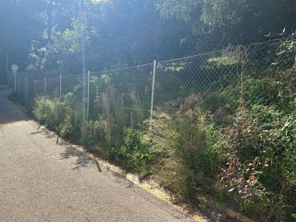 Helårsgrund i Denia, Alicante - foto 2