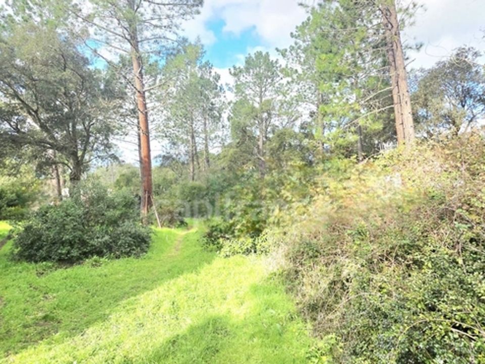 Herregård i Lecci, Corse-du-Sud - bilde 2