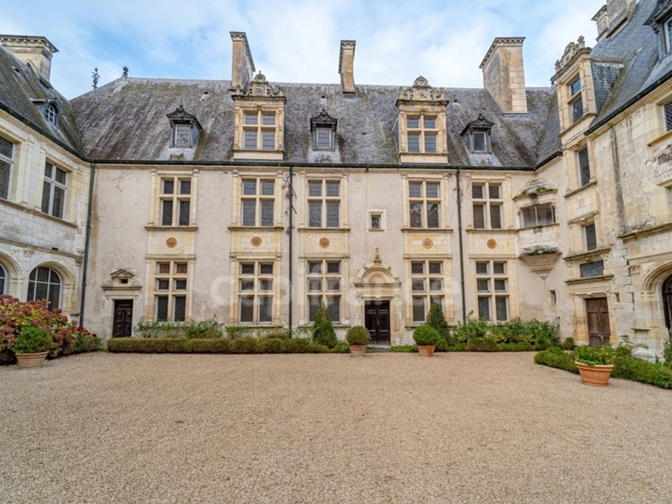 Villa i Saint-Florent-sur-Cher, Cher - bilde 3