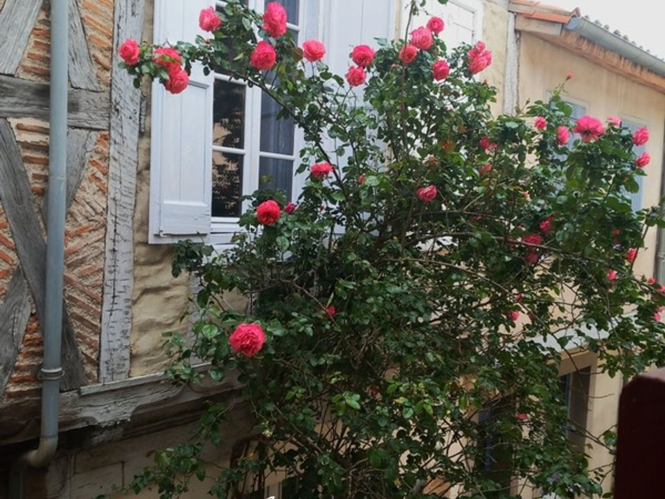 Villa i Sorèze, Tarn - foto 1