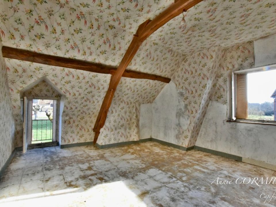 Villa i Lion-en-Sullias, Loiret - foto 5