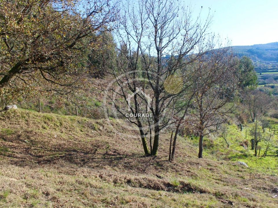Villa i Paredes de Coura, Viana do Castelo - foto 5