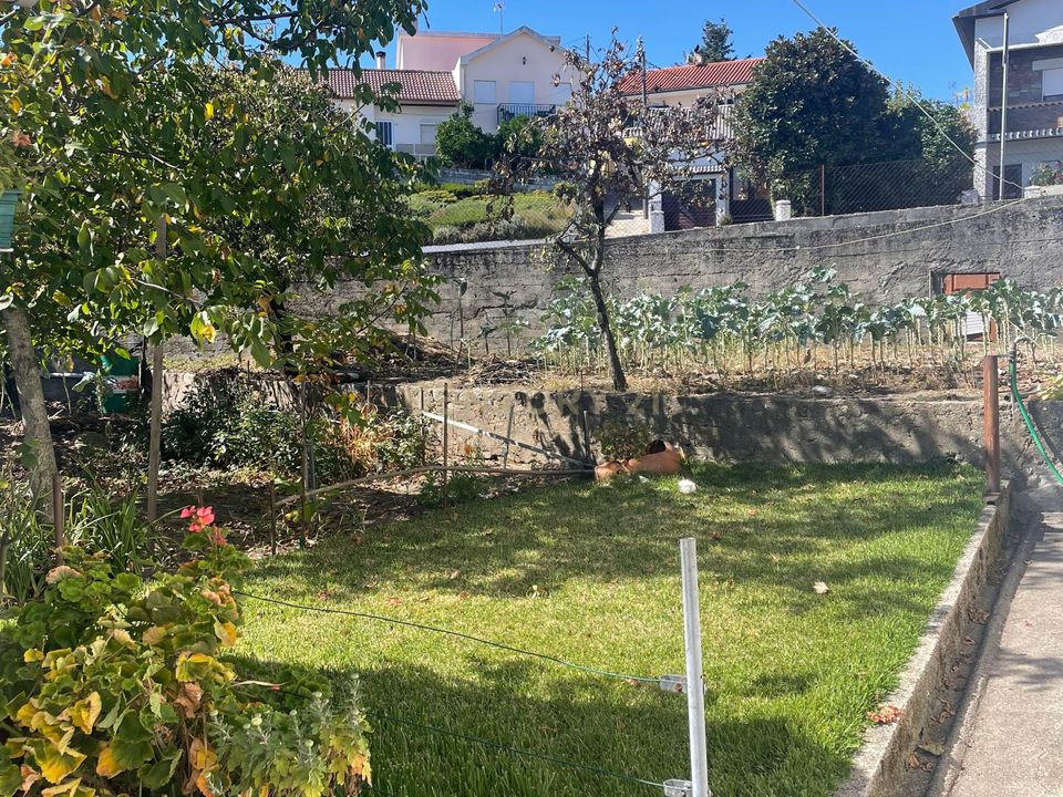 Villa i Aguiar da Beira, Guarda - bilde 3