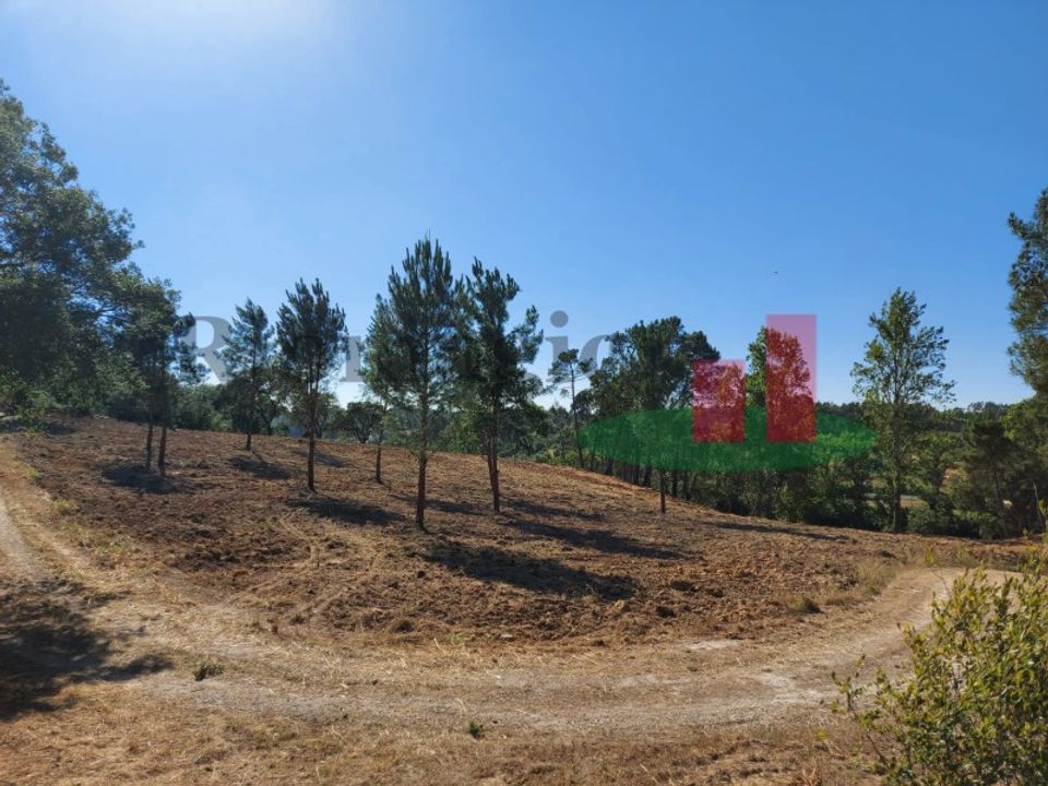 Tomt i Assentiz, Santarem - foto 1