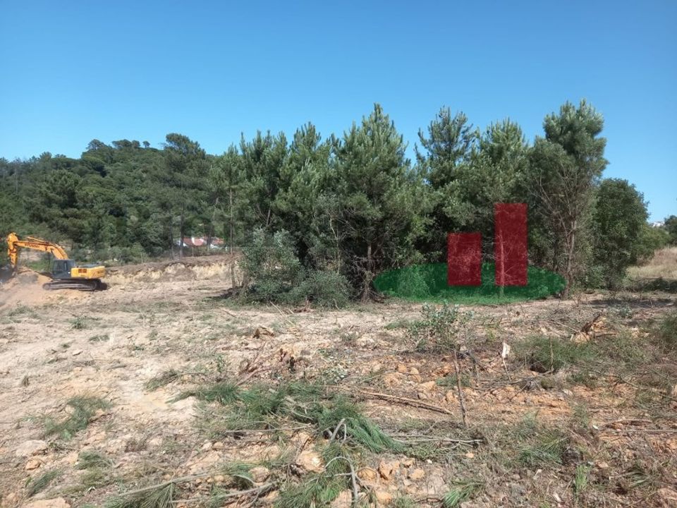 Tomt i Assentiz, Santarem - foto 3