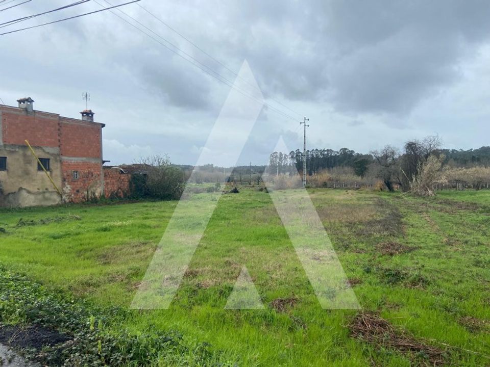 Helårsgrund i Anadia, Aveiro - foto 2
