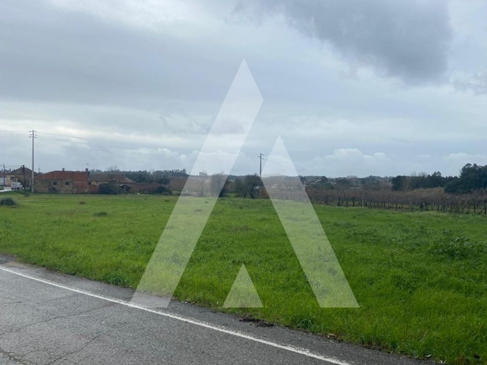Helårsgrund i Anadia, Aveiro - foto 4