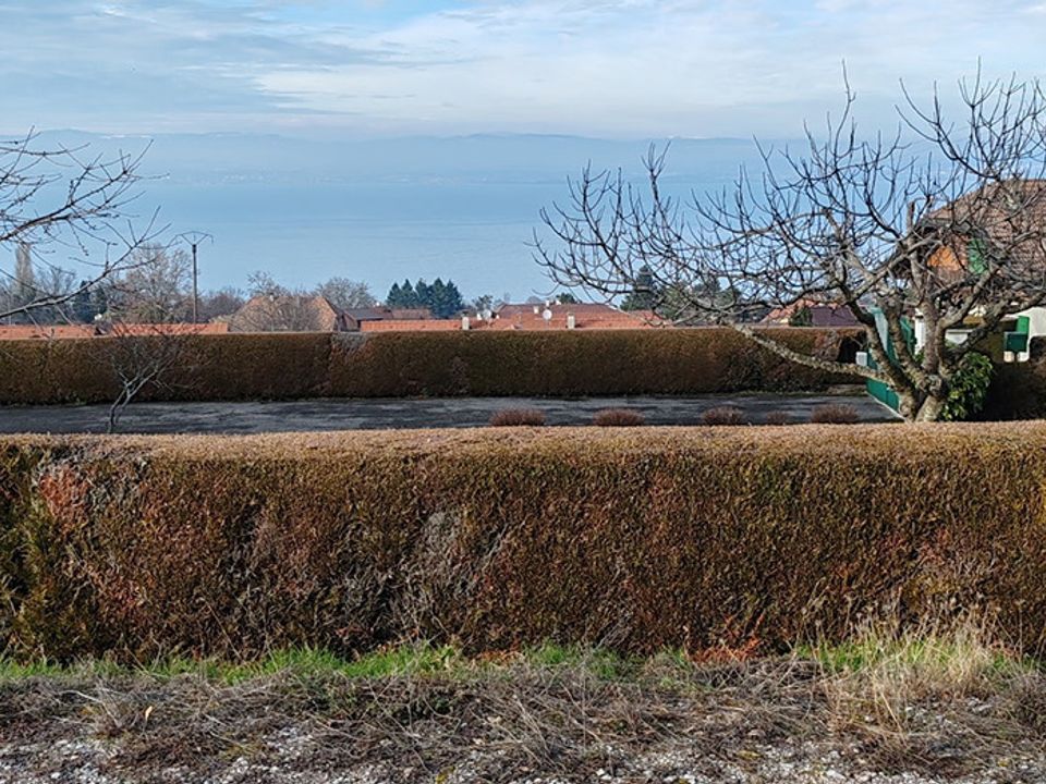 Villa i Publier, Haute-Savoie - foto 2
