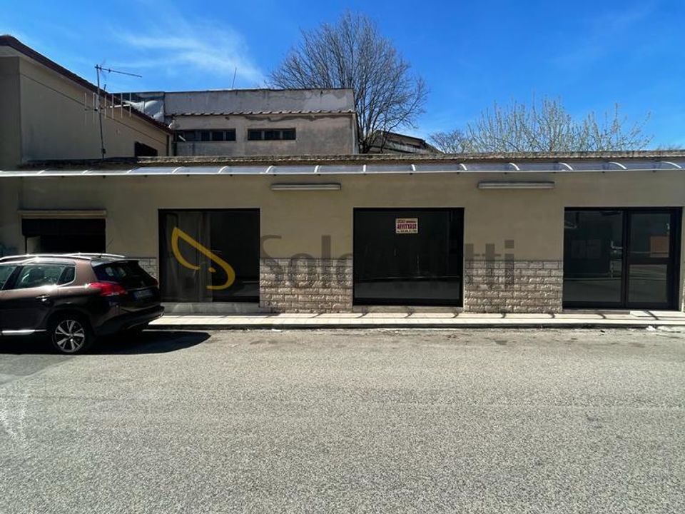 Commercial property in Frosinone, Frosinone - photo 3