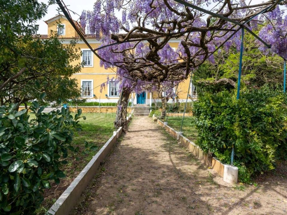 Granja a Valado dos Frades, Leiria - foto 3