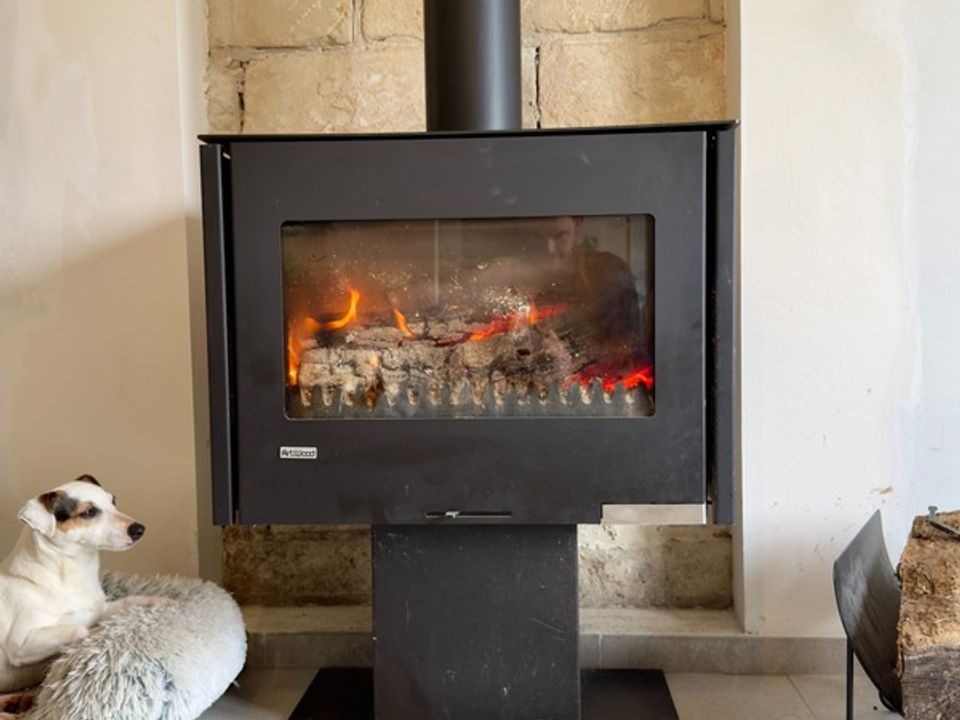 Villa i Chouzé-sur-Loire, Indre-et-Loire - foto 4