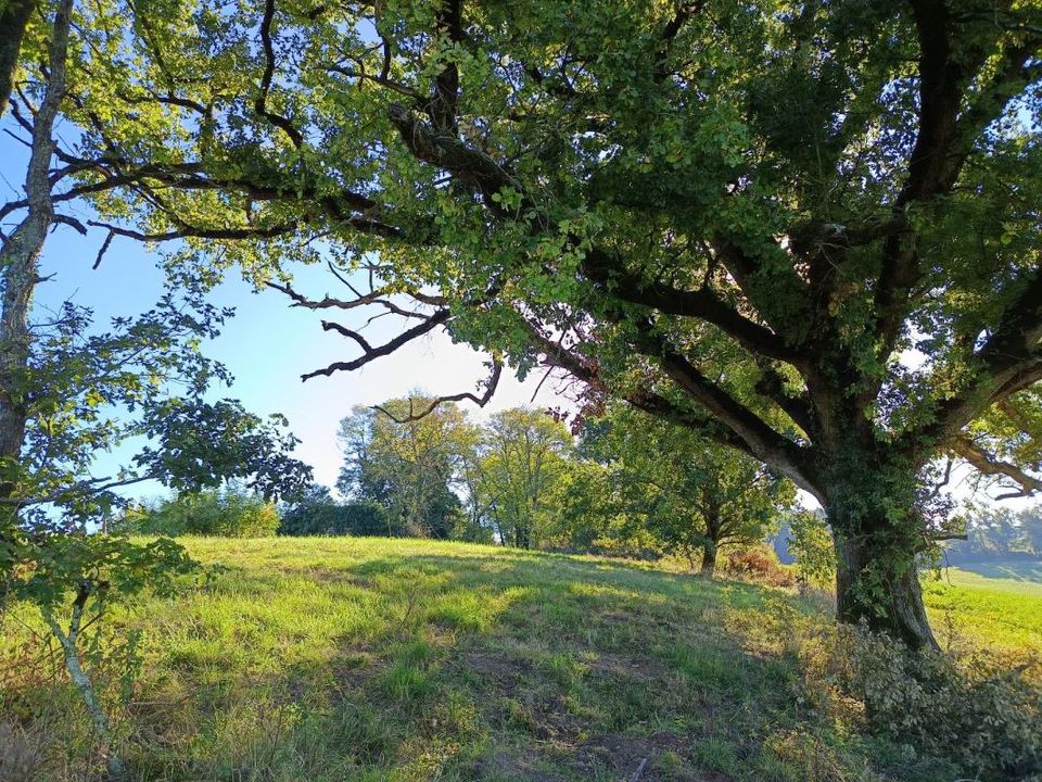 Helårsgrund i Montdurausse, Tarn - foto 1