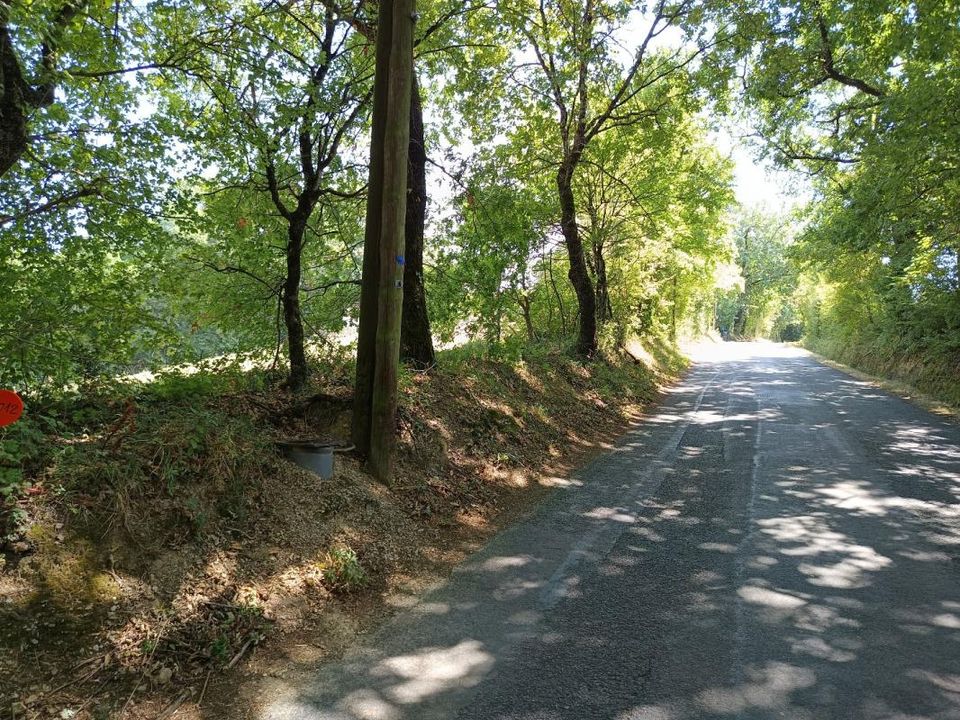 Tomt i Saix, Tarn - bilde 2