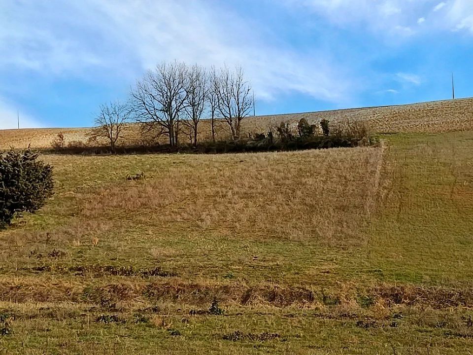 Tomt i Graulhet, Tarn - bilde 2
