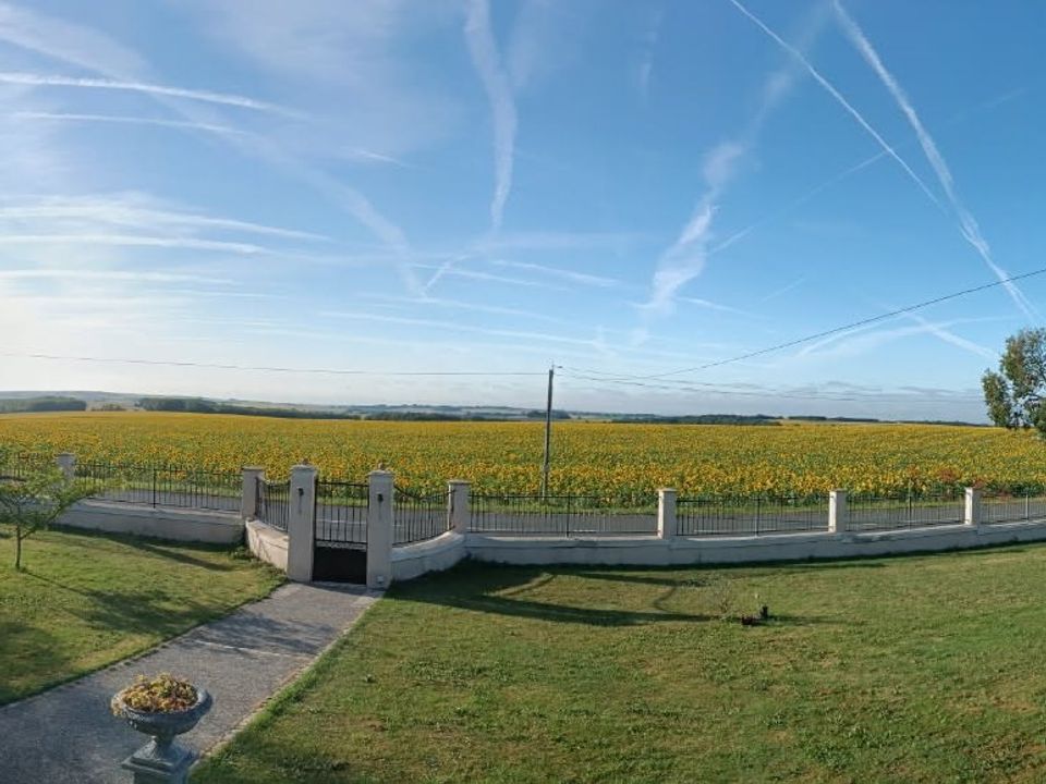 Villa i Fontaine-Chalendray, Charente-Maritime - foto 2