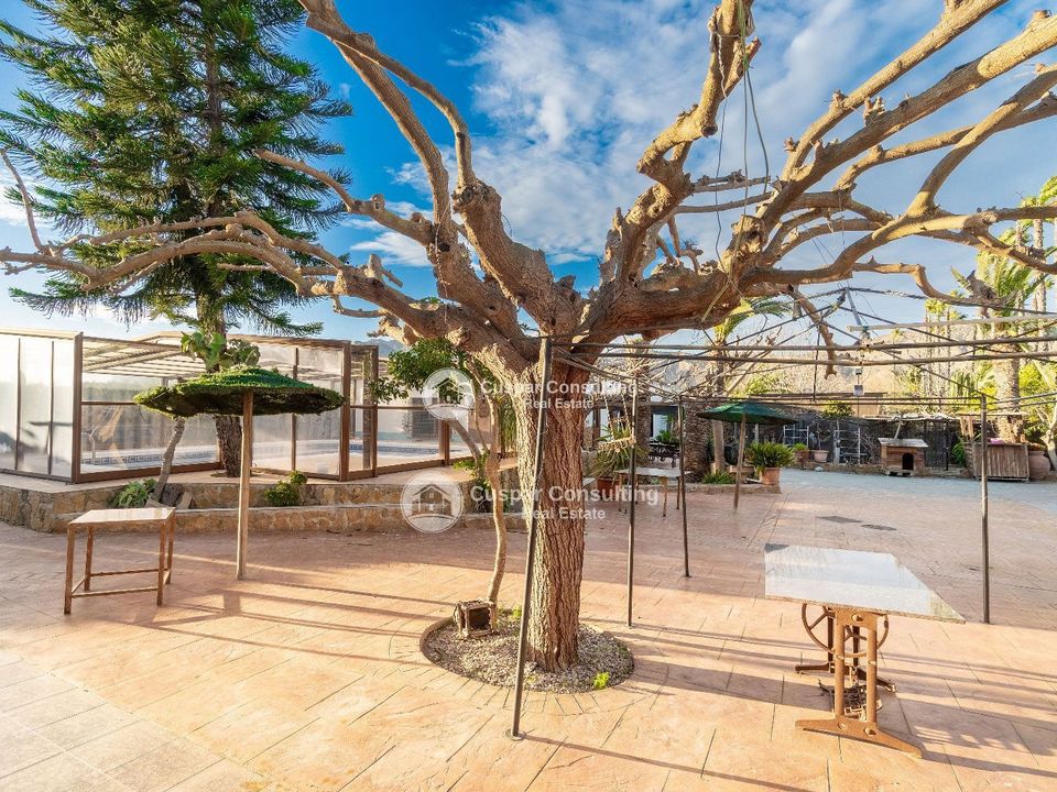 Villa i Orihuela, Alicante - foto 3