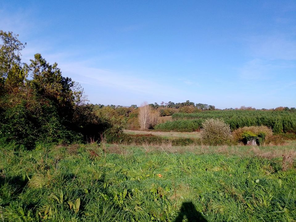 Villa i Baignes-Sainte-Radegonde, Charente - foto 2