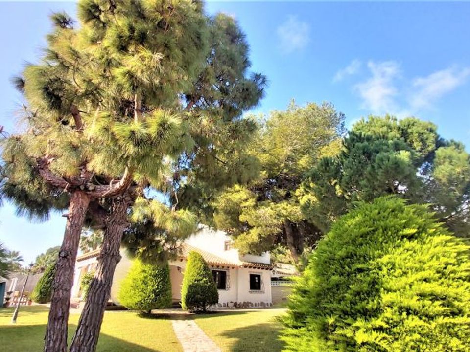 Villa i Punta Prima, Alicante - foto 4
