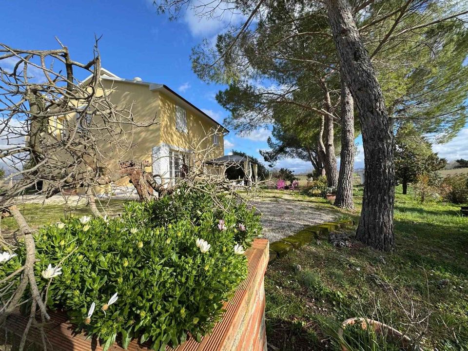 Villa i Scansano, Grosseto - foto 5