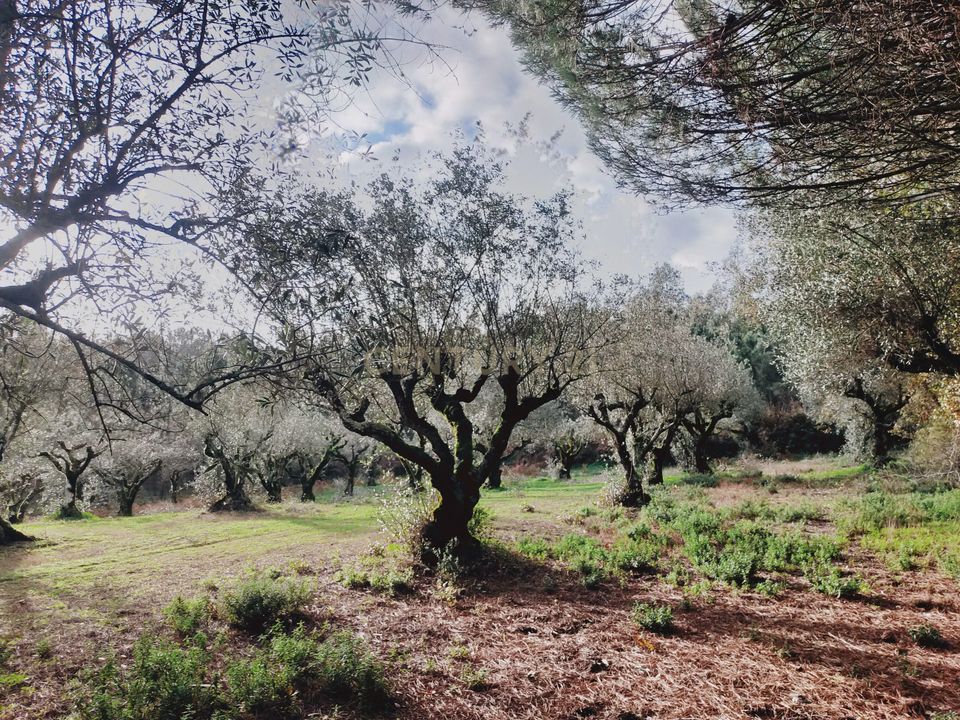 Helårsgrund i Parceiros e Azoia, Leiria - foto 1