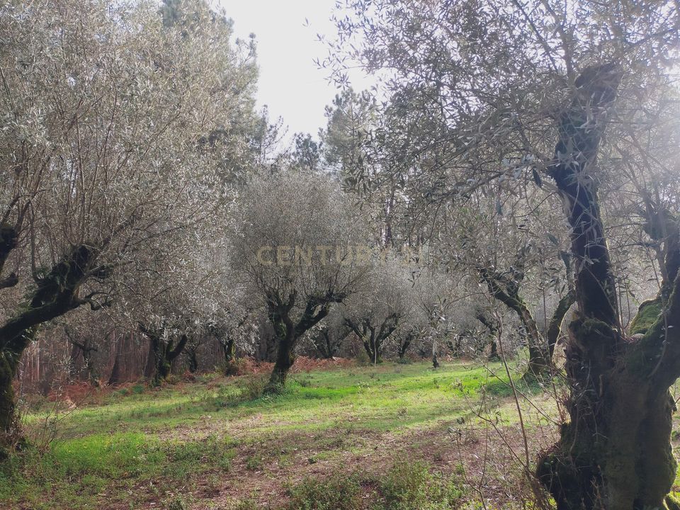 Helårsgrund i Parceiros e Azoia, Leiria - foto 2