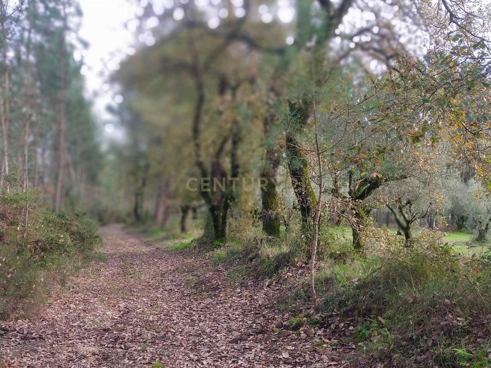 Helårsgrund i Parceiros e Azoia, Leiria - foto 4